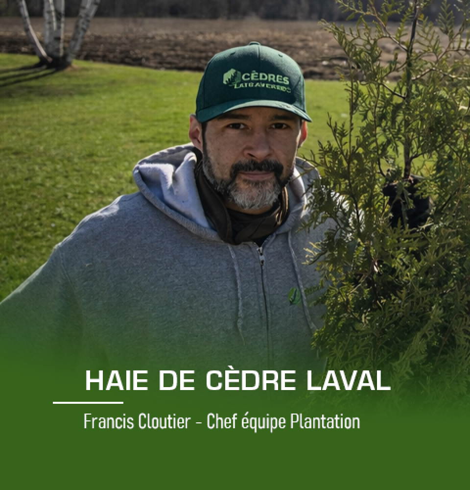 Francis Cloutier chef d'équipe plantation