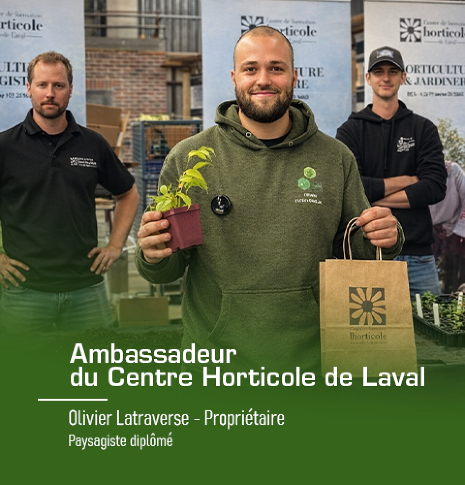 Olivier Latraverse propriétaire haie de cèdre laval