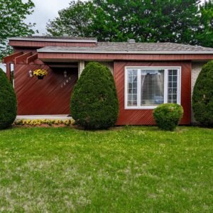 Taille de cedres pro