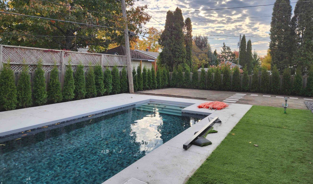 Cedre brandon plantation cour moderne