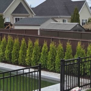 Cedre brandon haie verticale naturelle