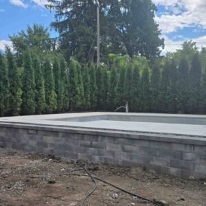 Cedres noirs haie brise vue efficace