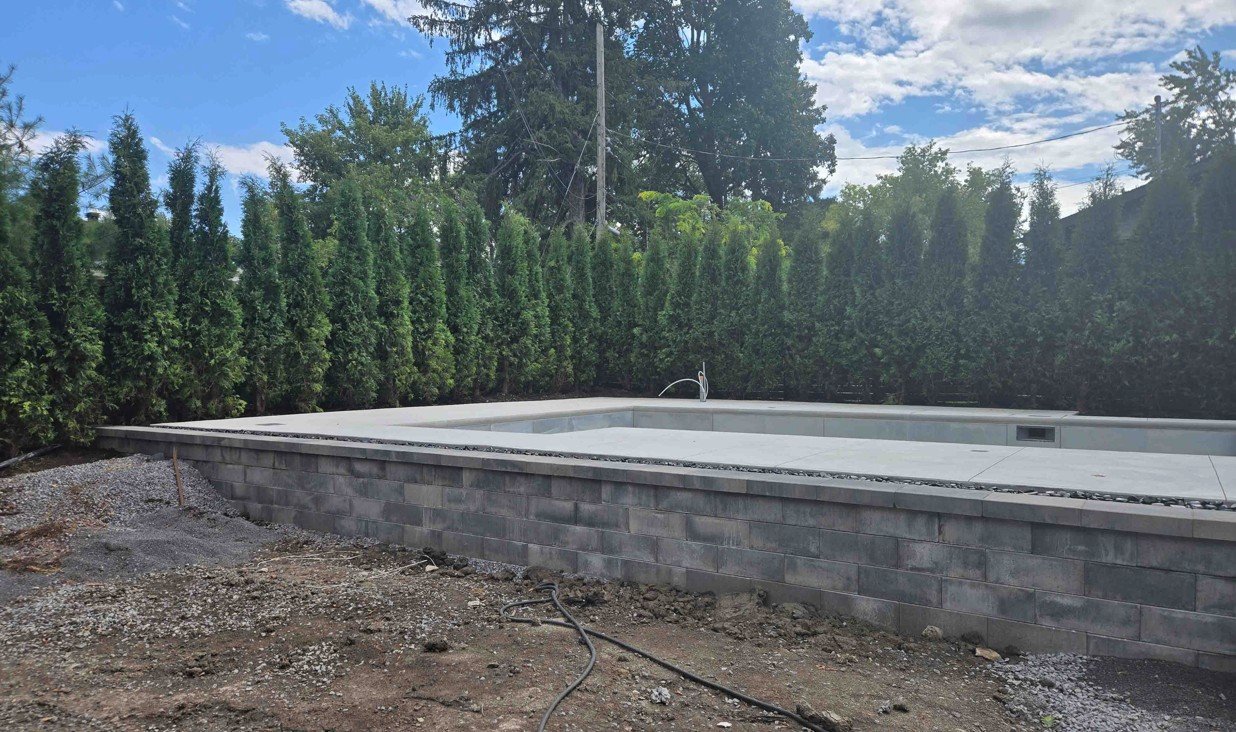 Cedres noirs plantation sol adaptable