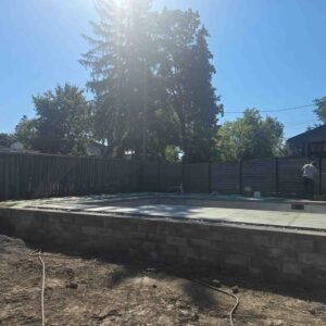 Cedres noirs haie robuste toute saison