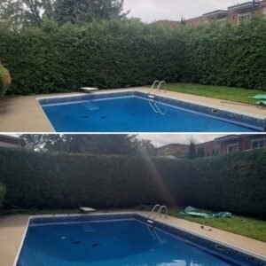 Entretien de haie suivi regulier