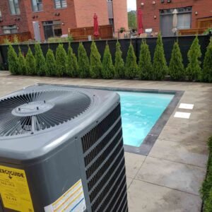 Haie smaragd installation rapide