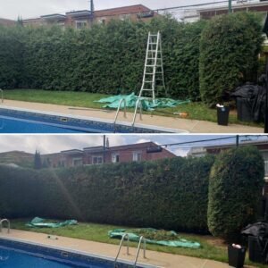 Taille de haie service residentiel